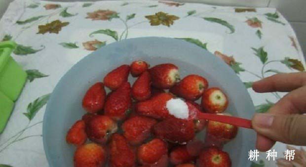 草莓怎么洗好？