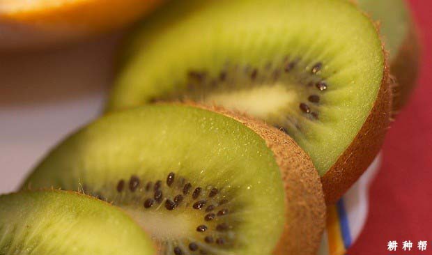 吃猕猴桃的好处有哪些？