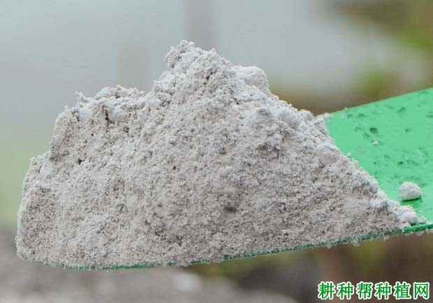 过磷酸钙是什么肥？应该如何施用？