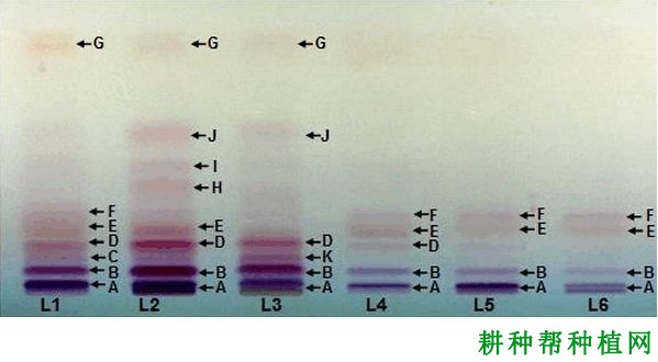 农药分析薄层色谱法的原理